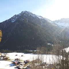 Hundetreffen 2014 im Allgäu (24)